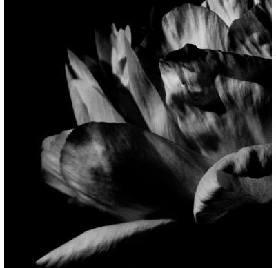 Louise Roam - Là où passe la nuit