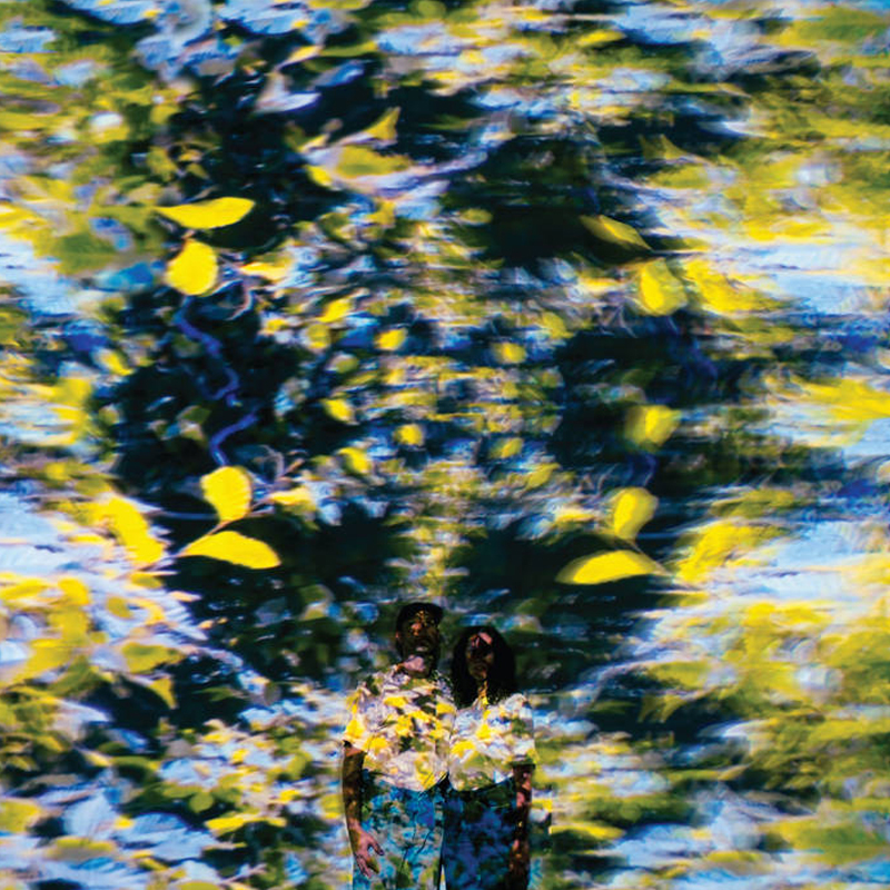 Chaton Laveur - Labyrinthe