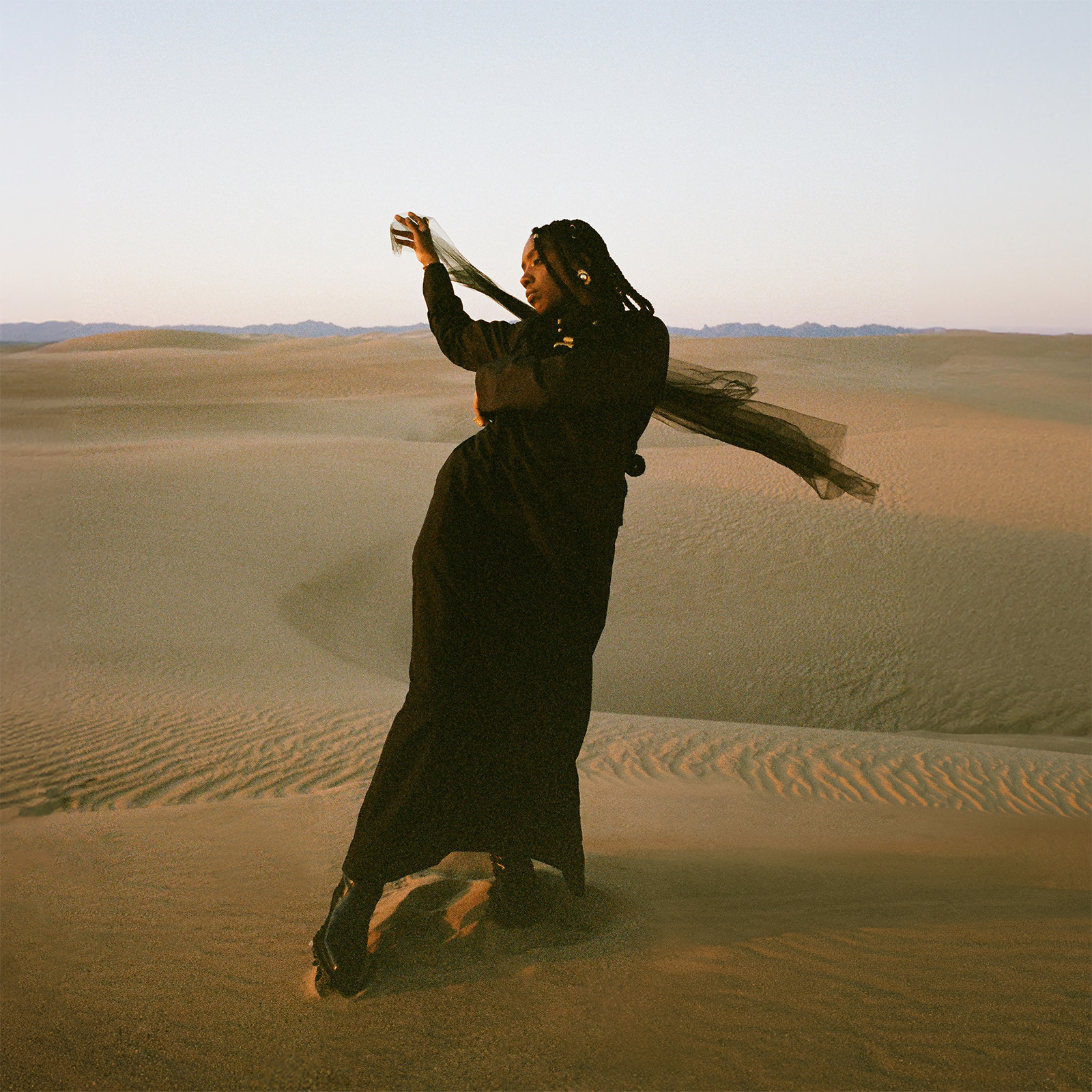 Dua Saleh - Of earth & wires