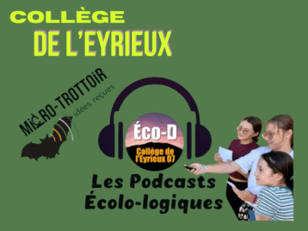 🦇 Les idées reçues s'envolent !