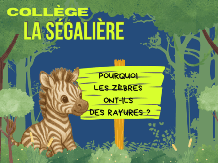 Pourquoi ? Des histoires courtes pour réinventer l'univers.