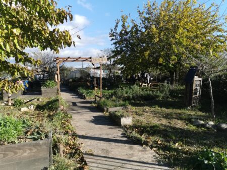 Jardin'âge #1 - construction des jardinières