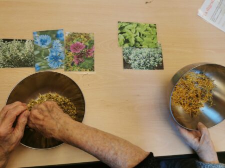Jardin'âge #3 - fabrication des tisanes