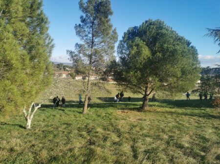 Image sonore d'une couleur #carte postale 2