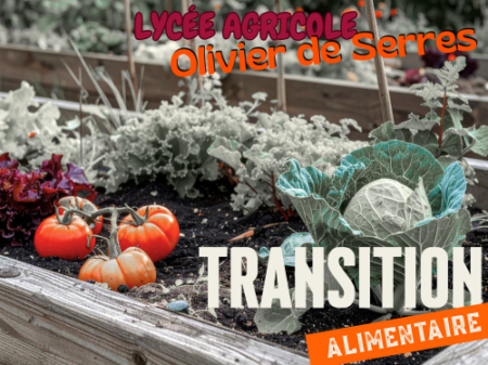 Engagement citoyen et transition agro-alimentaire #2