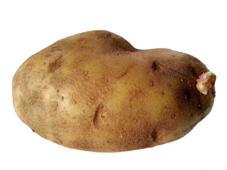 Une patate de 10 m³ !