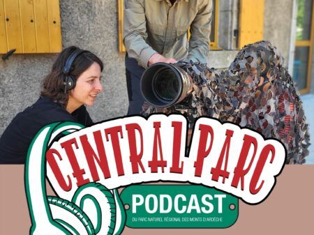 Central Parc